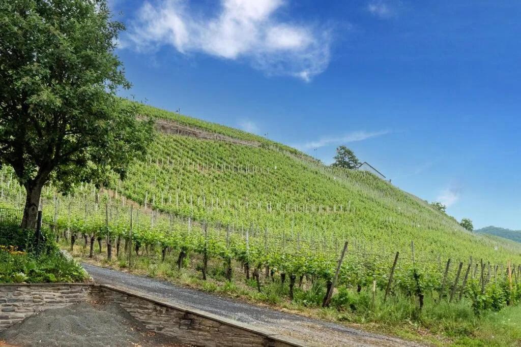 شقة Moselblick Kinheim المظهر الخارجي الصورة
